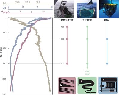 Three Distinct Views of Deep Pelagic Community Composition Based on Complementary Sampling Approaches